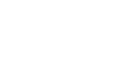 Rustic Dry Goods logo